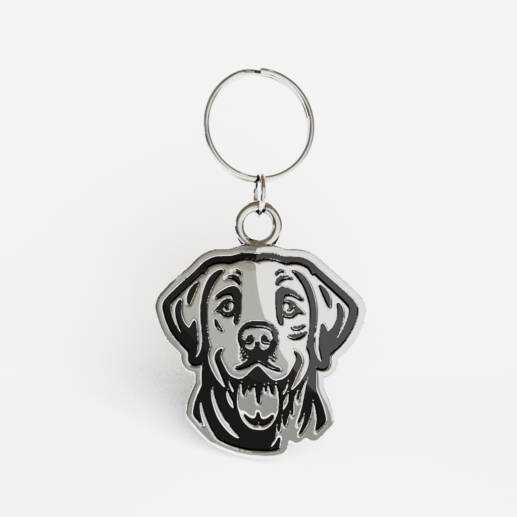 Medaglietta Labrador